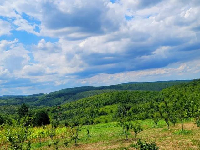 Участок продажа в Ильский, Краснодарский Край