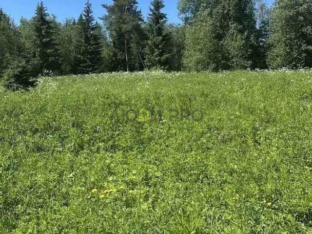 Участок продажа в Вологодская область