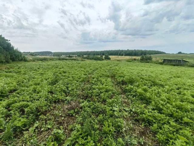 Участок продажа в Рязанская область