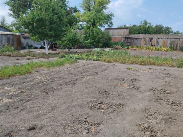 Участок продажа в Камышеватская Ст-ца, Краснодарский Край