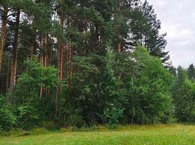 Участок продажа в Экспресс-Сарбаи, городской округ Киров