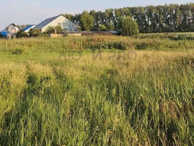 Участок продажа в Алтайский Край