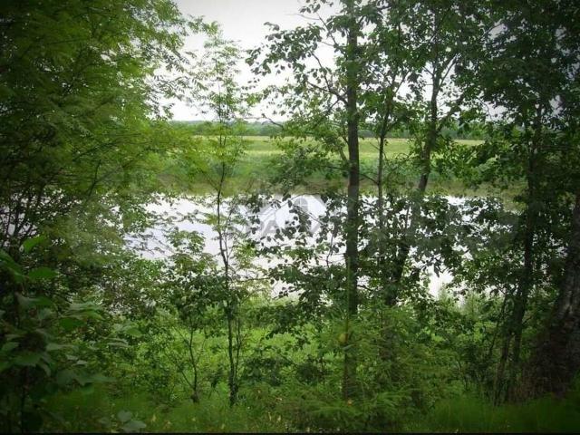 Участок продажа в Новгородская область