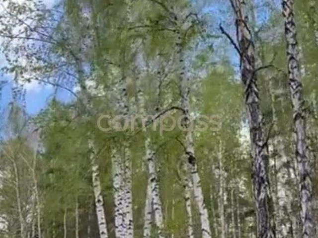 Участок продажа в Тюменская область
