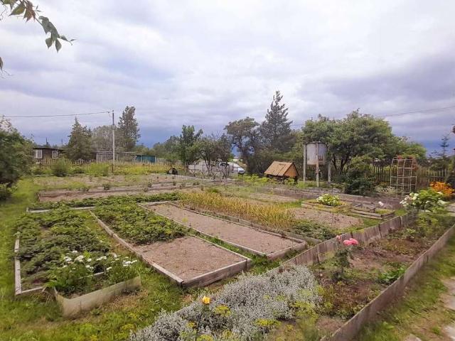 Участок продажа в Ляпино, Новгородский район