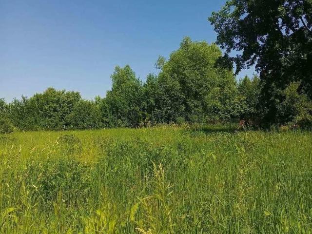 Участок продажа в Воронежская область