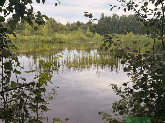 Участок продажа в Марий Эл Республика