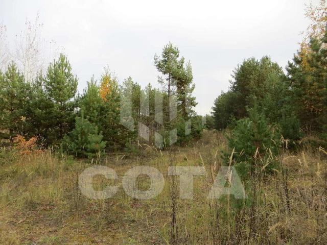 Участок продажа в СНТ Ветеран, Рамонский район