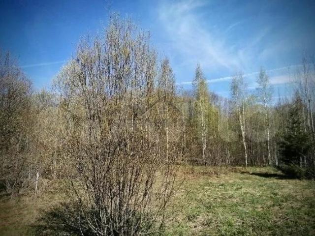 Участок продажа в Новгородская область