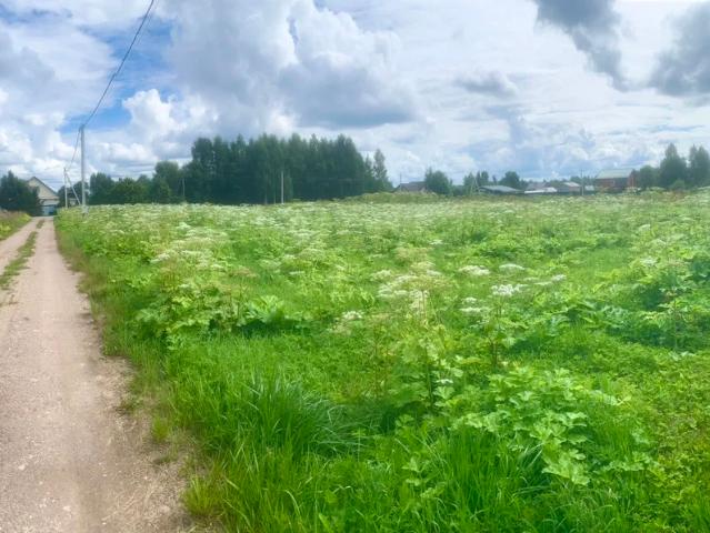 Участок продажа в Ленинградская область