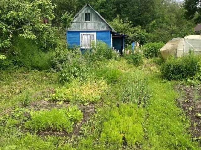 Участок продажа в Ермолинское, Новгородская область