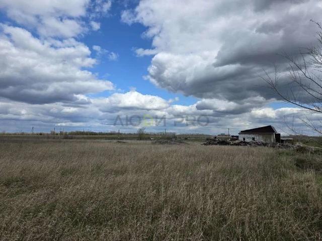 Участок продажа в Новая Усмань, Воронежская область