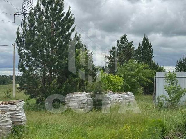 Участок продажа в Новая Усмань, Воронежская область