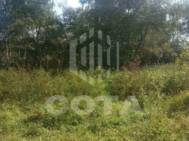 Участок продажа в Новая Усмань, Воронежская область