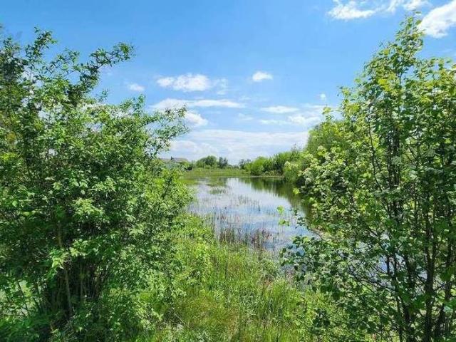 Участок продажа в Новая Усмань, Воронежская область