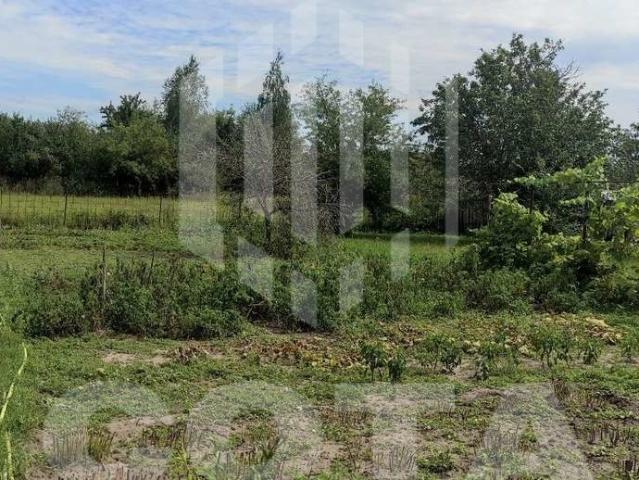 Участок продажа в Новая Усмань, Воронежская область