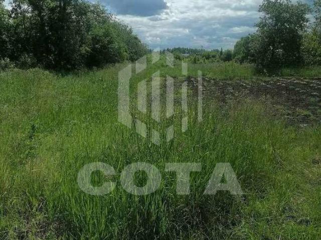 Участок продажа в Новая Усмань, Воронежская область