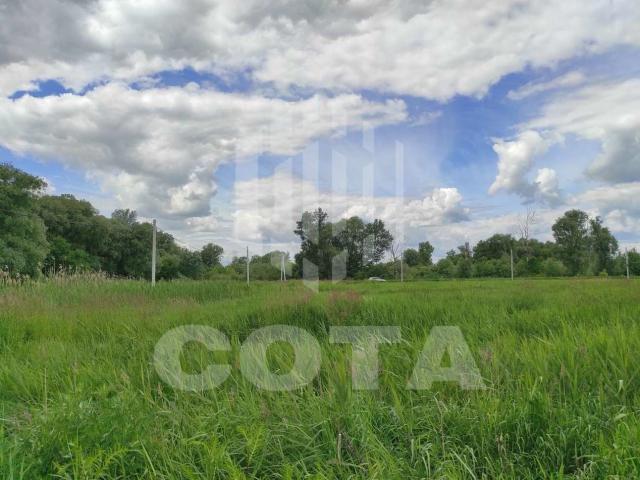 Участок продажа в Новая Усмань, Воронежская область