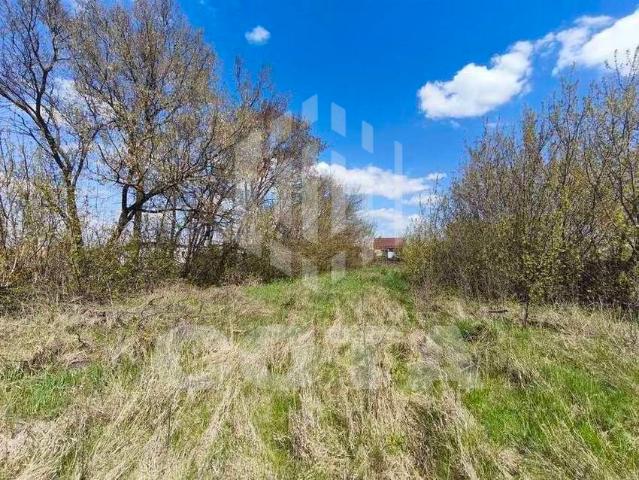 Участок продажа в Новая Усмань, Воронежская область