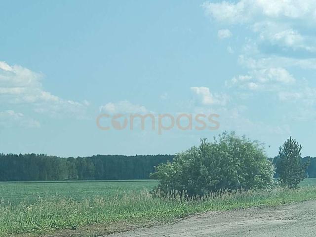 Участок продажа в СНТ Новокаменский, Тюменский район
