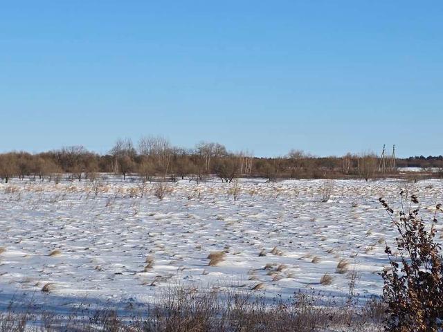 Участок продажа в Амурская область