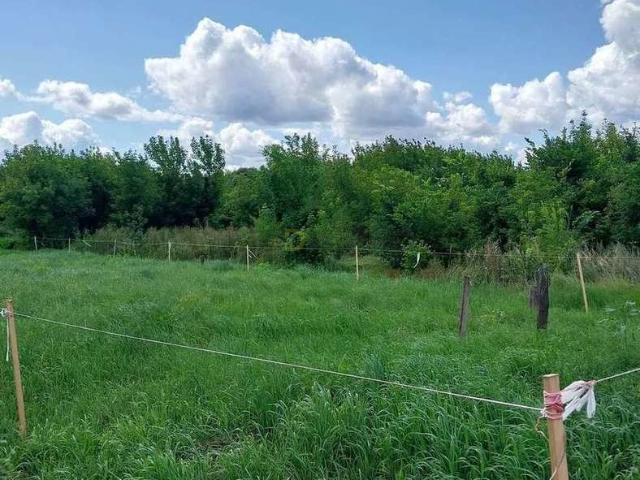 Участок продажа в Ямное, Воронежская область
