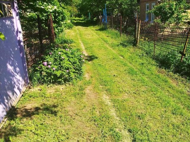 Участок продажа в Новопокровке, Донецкой области
