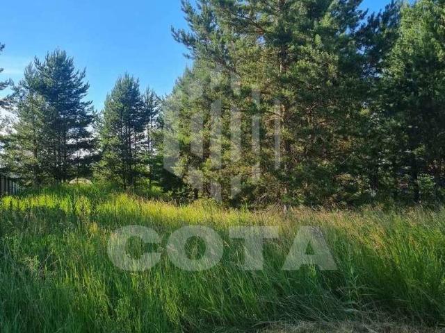 Участок продажа в Воронежская область