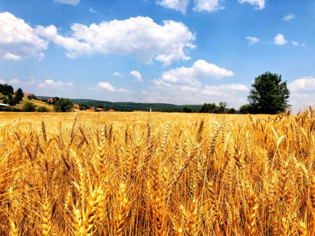 Участок продажа