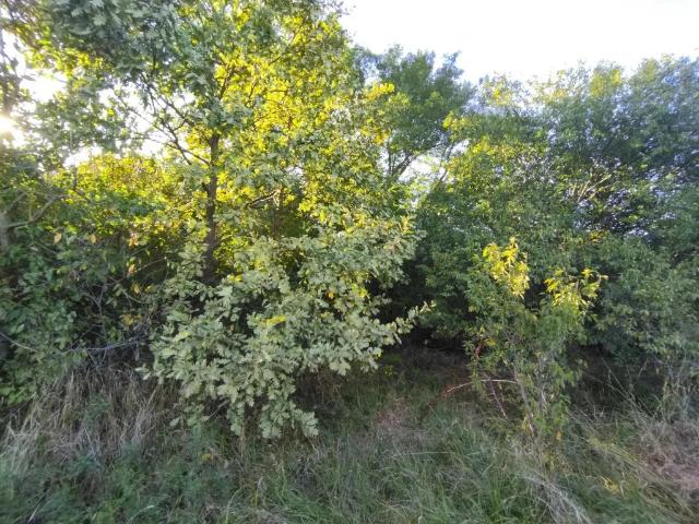 Участок продажа в Ольховский, Краснодарский Край