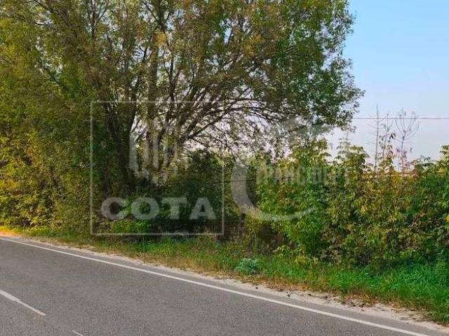 Участок продажа в Воронежская область