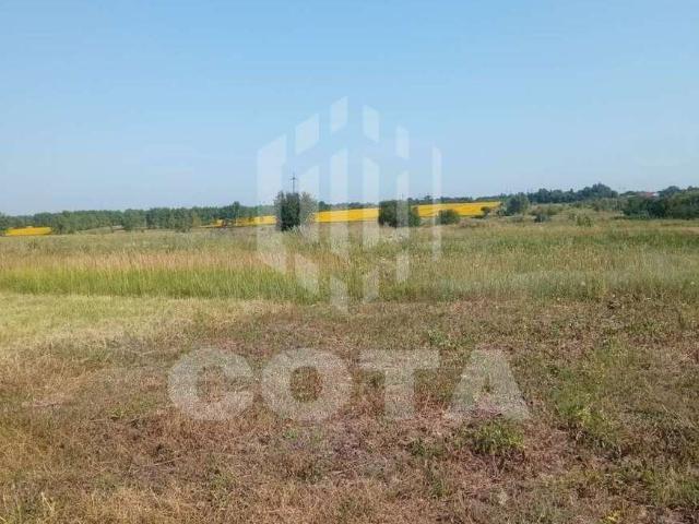 Участок продажа в Орлово, Воронежская область