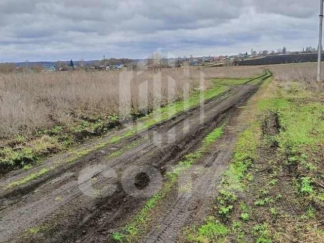 Участок продажа в Орлово, Воронежская область