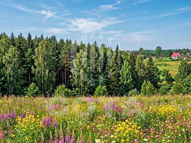 Участок продажа в Пчельники, Рамонский район