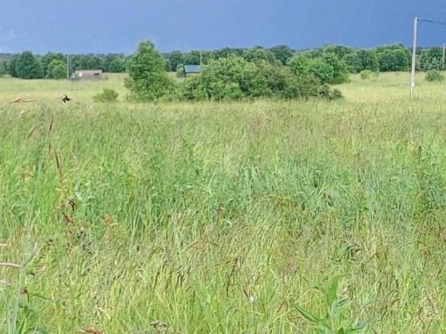 Участок продажа в Новгородская область