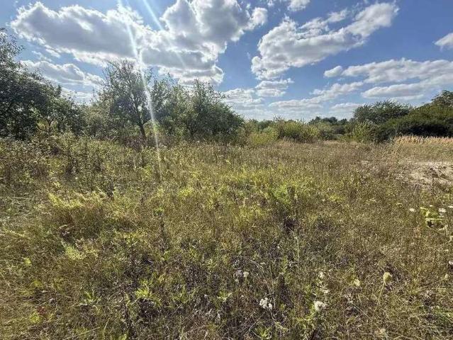 Участок продажа в Новосадовый, Белгородская область