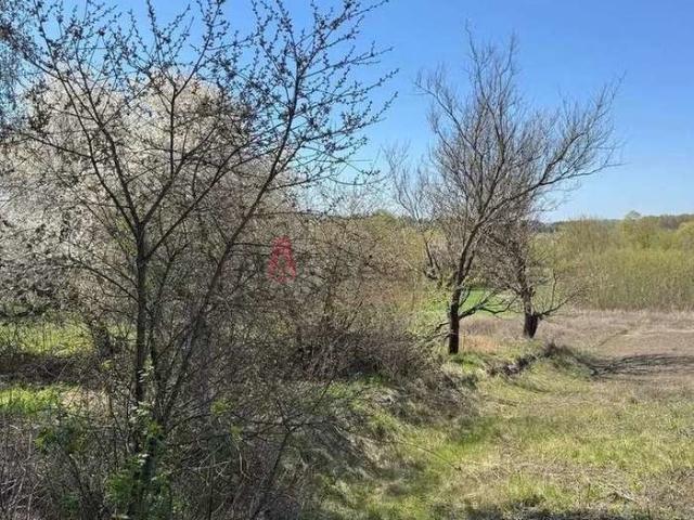 Участок продажа в Пушкарное, Белгородская область