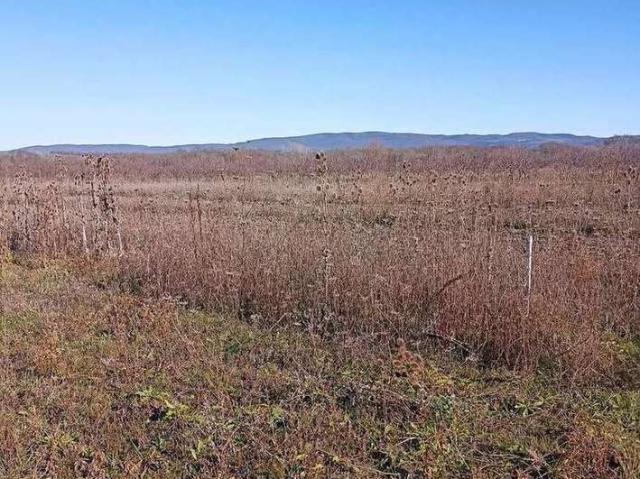 Участок продажа в Раевская Ст-ца, Краснодарский Край