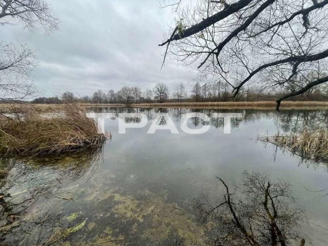 Участок продажа в Рамонь, Воронежская область