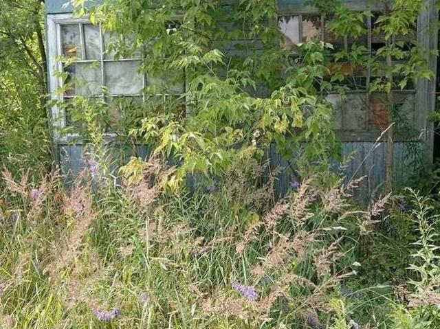 Участок продажа в Рязанская область