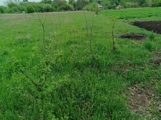 Участок продажа в Белгородская область