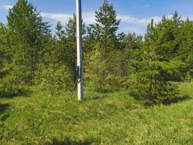 Участок продажа в Пасеговское, Кировская область