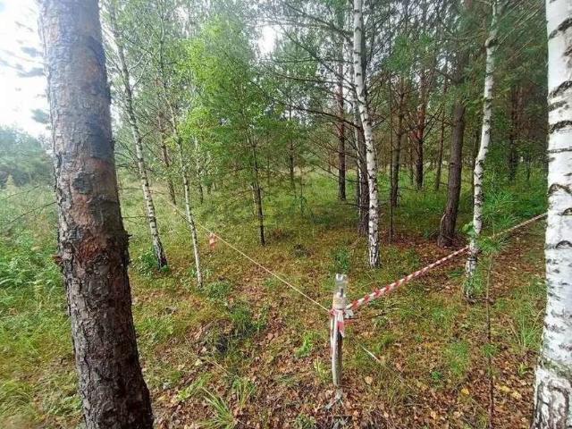 Участок продажа в Алтайский Край