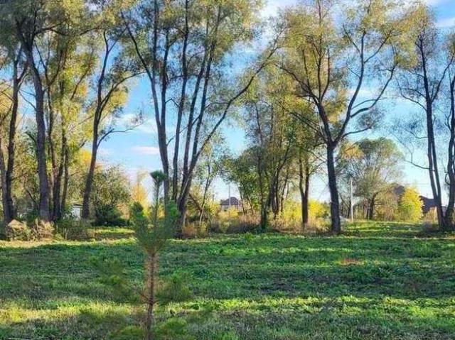 Участок продажа в Алтайский Край