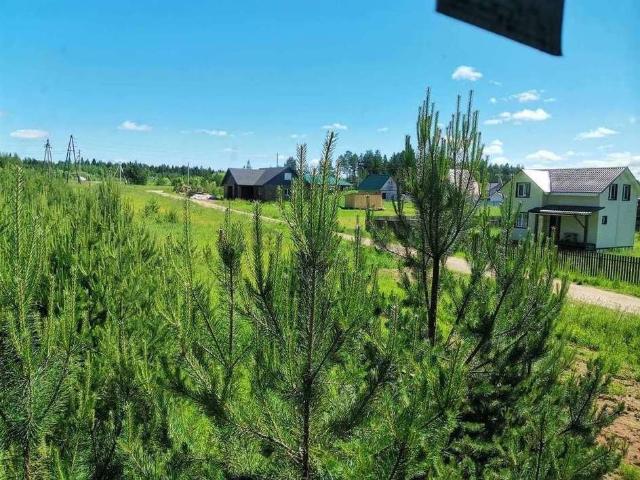 Участок продажа в Кировская область