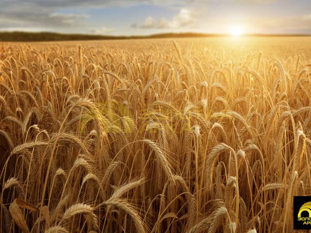 Участок продажа в Сенной, Краснодарский Край