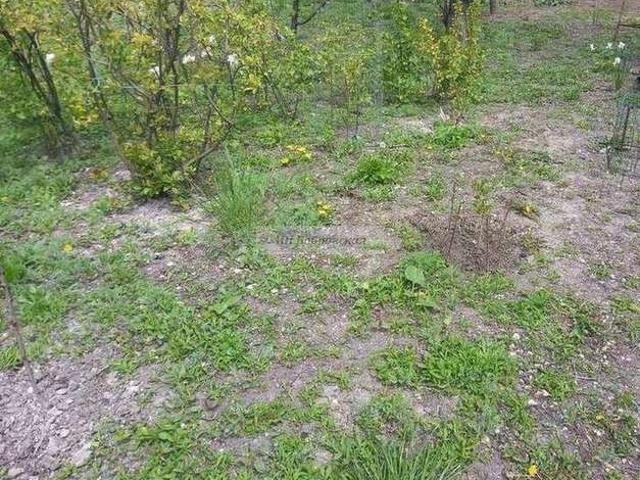 Участок продажа в Симферополь