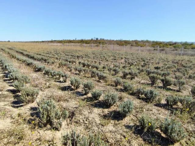 Участок продажа в Бахчисарайский район, Южный федеральный округ