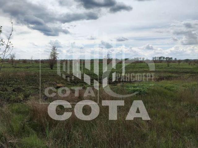 Участок продажа в Воронежская область