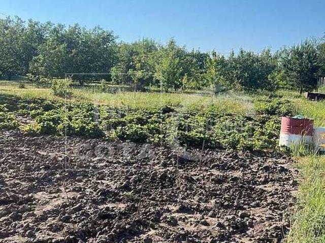 Участок продажа в Воронежская область